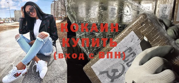 мдпв Протвино