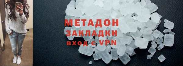 прущие грибы Приозерск