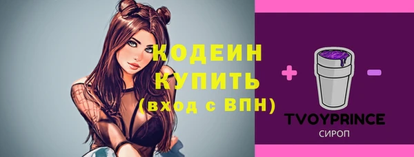 прущие грибы Приозерск