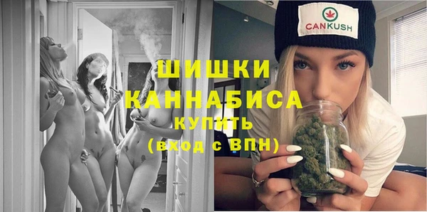 прущие грибы Приозерск