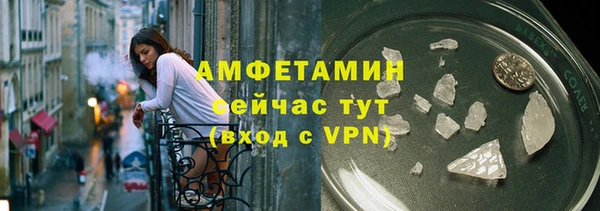 прущие грибы Приозерск