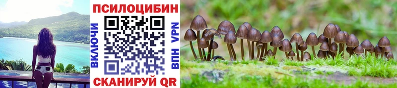 Купить закладки  Кизилюрт  Галлюциногенные грибы Cubensis 